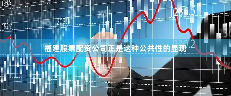 福建股票配资公司正是这种公共性的显现