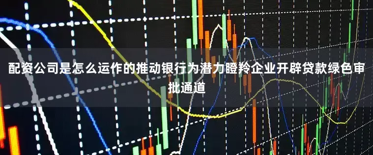 配资公司是怎么运作的推动银行为潜力瞪羚企业开辟贷款绿色审批通道