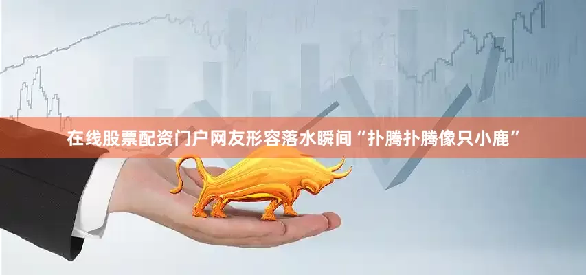 在线股票配资门户网友形容落水瞬间“扑腾扑腾像只小鹿”