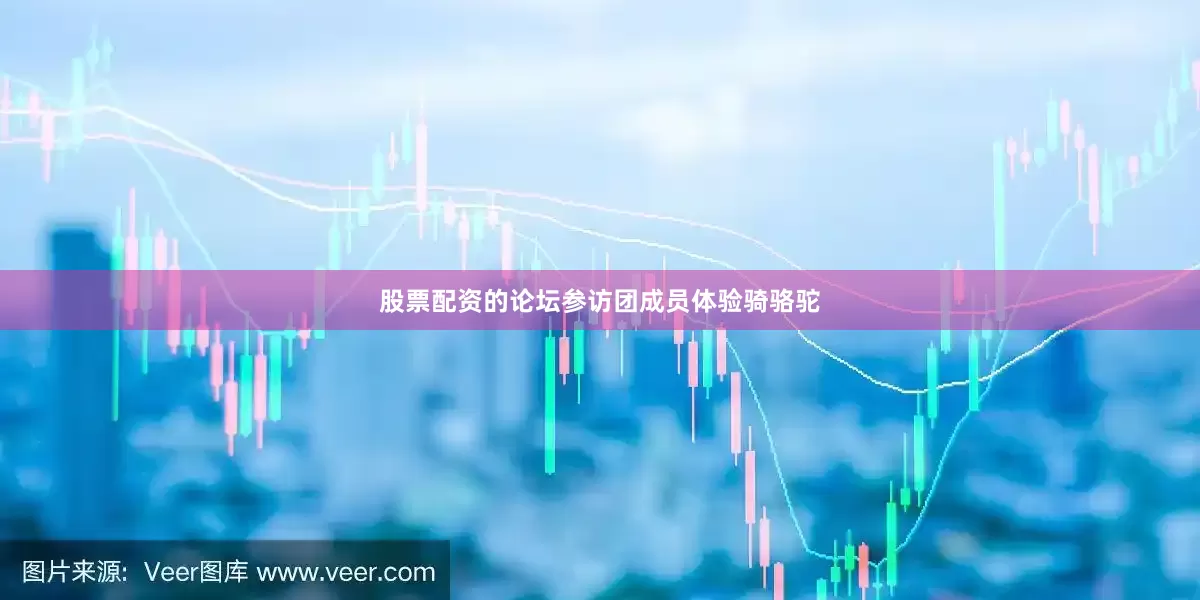 股票配资的论坛参访团成员体验骑骆驼